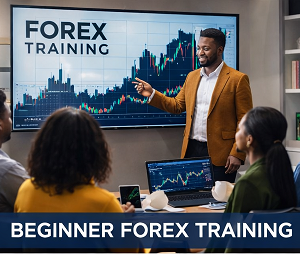 FOREX FOR BEGINNERS (Newbies)